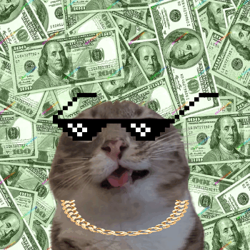 Rigby the cat